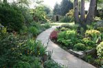 garden design surrey