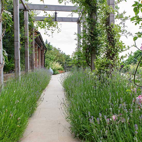 Portfolio of Garden Designs Surrey | Cherry Mills Garden Design
