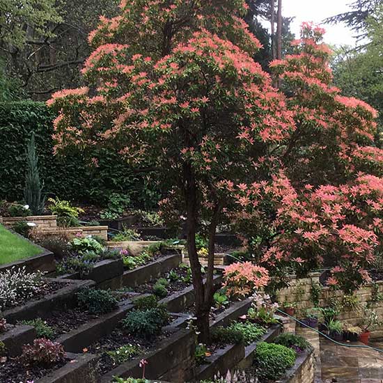 Garden design in Surrey