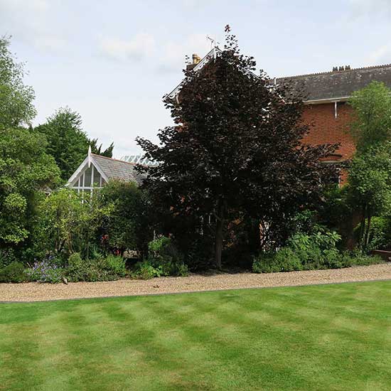 The garden BEFORE it was designed by CM Garden Design