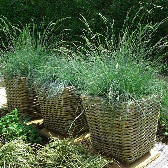 Low maintenance garden design in Cranleigh, Surrey