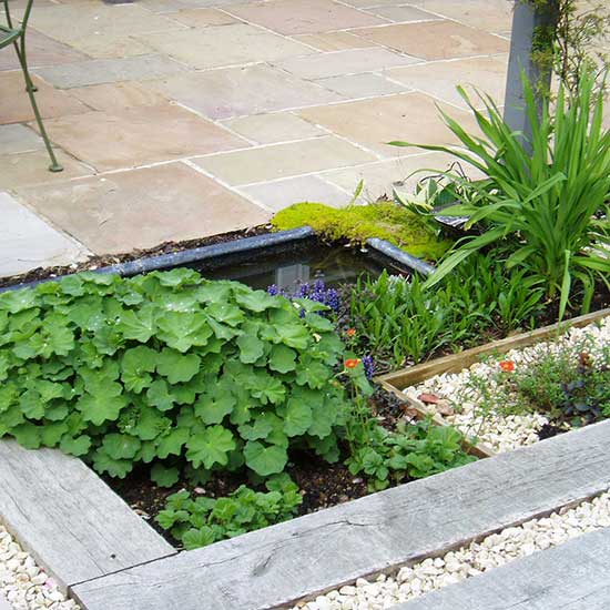 Low maintenance garden design in Cranleigh, Surrey