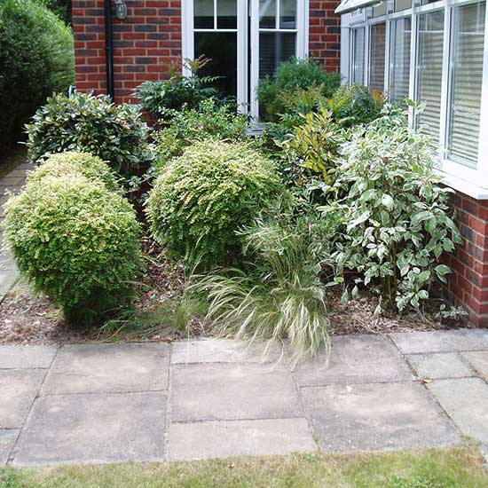 The original garden BEFORE it was redesigned by CM Garden Design