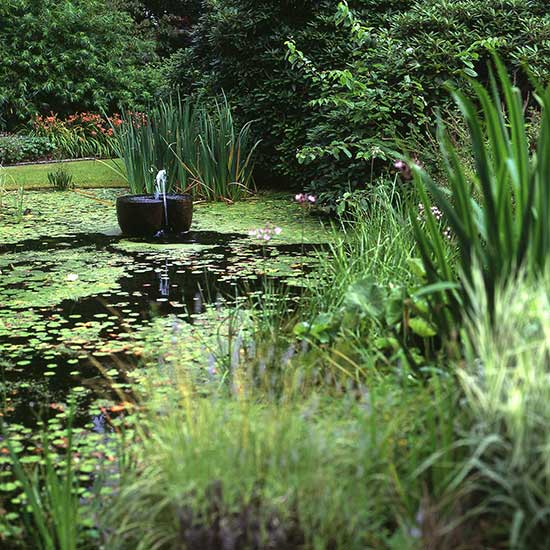 Water garden design for a house in Weybridge Surrey