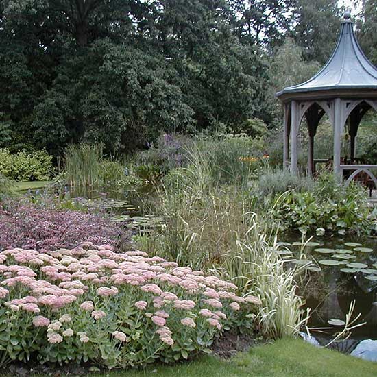 Water garden design for a house in Weybridge Surrey