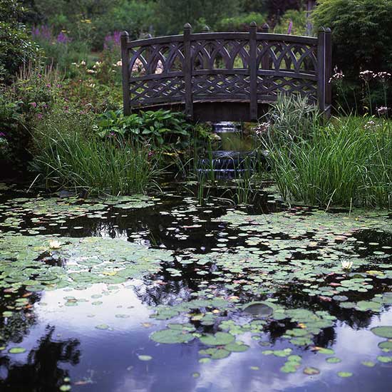 Water garden design for a house in Weybridge Surrey