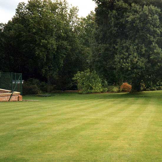 The garden BEFORE it was designed by CM Garden Design