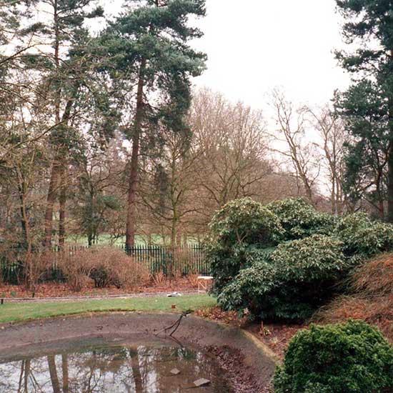 The garden BEFORE it was designed by CM Garden Design