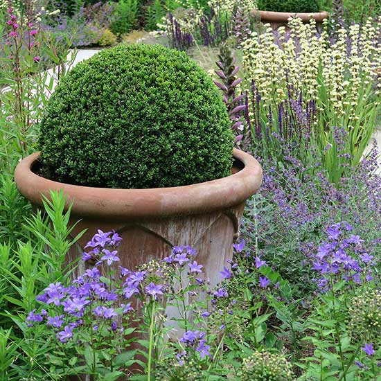 Garden design for a country house in Haslemere Surrey