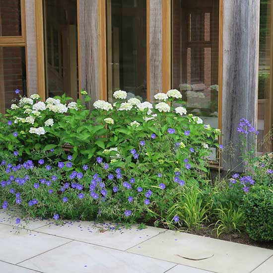 Garden design for a country house in Haslemere Surrey