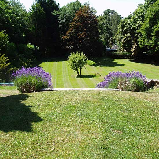 The garden BEFORE it was designed by CM Garden Design