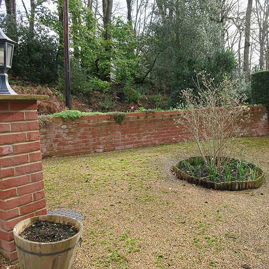 The garden BEFORE it was designed by CM Garden Design