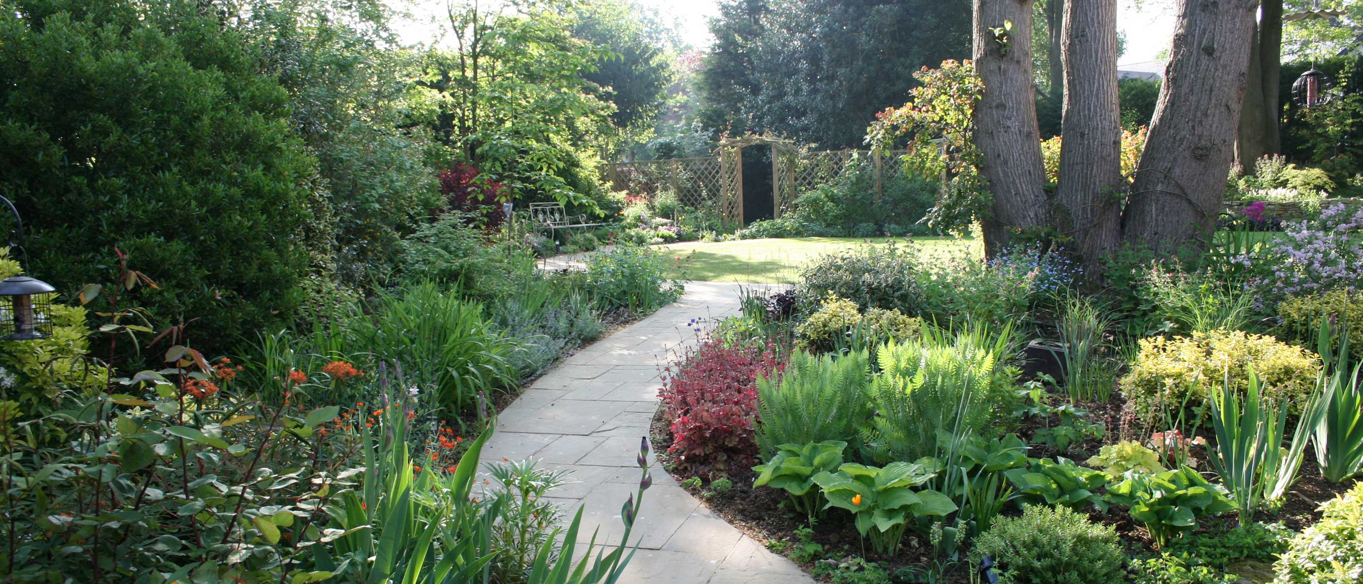 Guildford garden designed by Cherry Mills