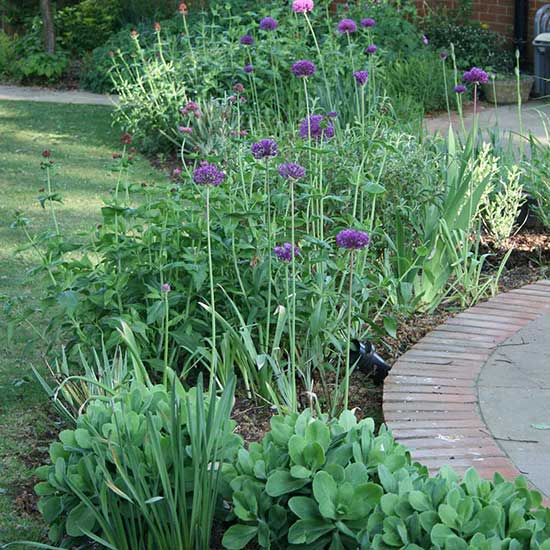 Shady garden design in Godalming Surrey