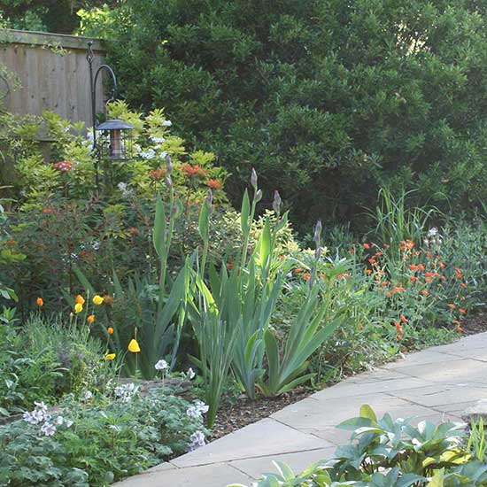 Shady garden design in Godalming Surrey