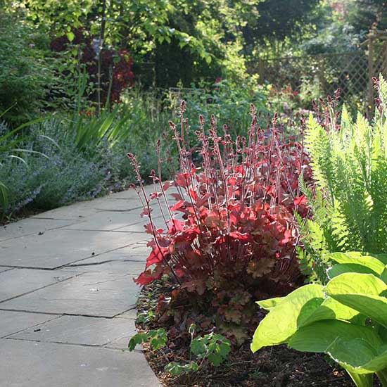 Shady garden design in Godalming Surrey