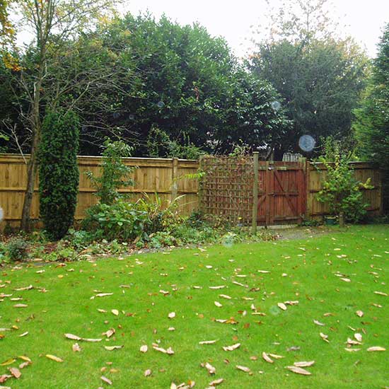 The garden BEFORE it was designed by CM Garden Design