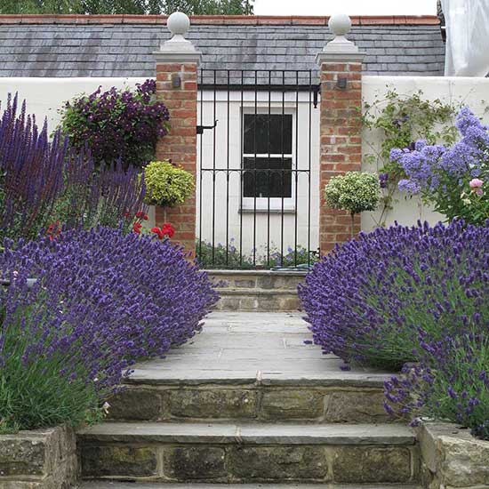 Design for a large garden in Guildford Surrey