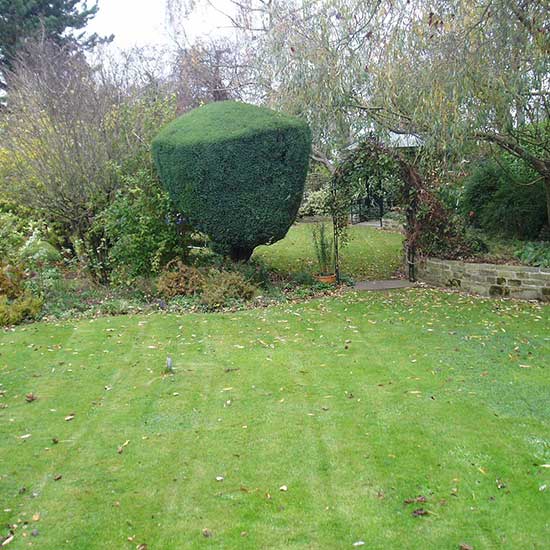 The garden BEFORE it was designed by CM Garden Design