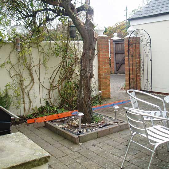 The garden BEFORE it was designed by CM Garden Design